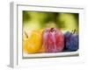 Different Types of Plums-null-Framed Photographic Print