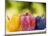 Different Types of Plums-null-Mounted Photographic Print