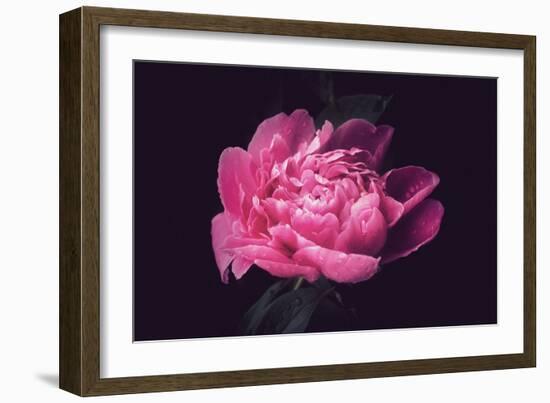 Differently-Philippe Sainte-Laudy-Framed Photographic Print