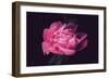 Differently-Philippe Sainte-Laudy-Framed Photographic Print