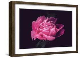 Differently-Philippe Sainte-Laudy-Framed Photographic Print