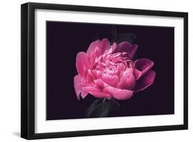 Differently-Philippe Sainte-Laudy-Framed Photographic Print