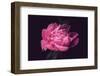 Differently-Philippe Sainte-Laudy-Framed Photographic Print