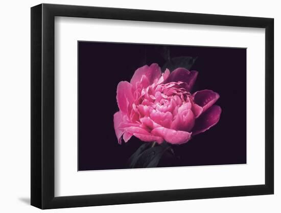 Differently-Philippe Sainte-Laudy-Framed Photographic Print
