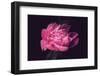 Differently-Philippe Sainte-Laudy-Framed Photographic Print