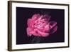 Differently-Philippe Sainte-Laudy-Framed Photographic Print