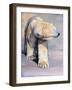 Diffuse, 2016-Mark Adlington-Framed Giclee Print