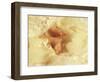 Diffused Effect of Baby Feet, Lacen and Booties-Steve Satushek-Framed Photographic Print