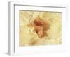 Diffused Effect of Baby Feet, Lacen and Booties-Steve Satushek-Framed Photographic Print