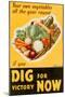 'Dig for Victory WWII War Propaganda Art Print Poster' Posters ...