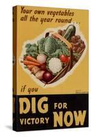 Dig for Victory WWII War Propaganda Plastic Sign-null-Stretched Canvas