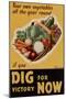 Dig for Victory WWII War Propaganda Plastic Sign-null-Mounted Art Print