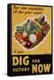 Dig for Victory - WWII War Propaganda-null-Framed Stretched Canvas