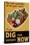 Dig for Victory - WWII War Propaganda-null-Stretched Canvas