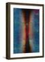 DIG1TS, 2014-Francois Domain-Framed Giclee Print