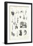 Digestive Organs, 1863-79-Raimundo Petraroja-Framed Giclee Print