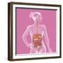 Digestive System, Illustration-Caroline Arquevaux-Framed Giclee Print