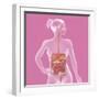 Digestive System, Illustration-Caroline Arquevaux-Framed Giclee Print