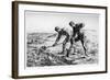 Diggers, C1835-1875-Jean Francois Millet-Framed Giclee Print