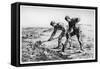 Diggers, C1835-1875-Jean Francois Millet-Framed Stretched Canvas