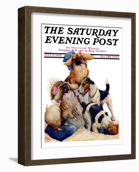 "Digging Doggy," Saturday Evening Post Cover, July 31, 1926-Robert L. Dickey-Framed Giclee Print