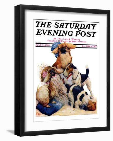 "Digging Doggy," Saturday Evening Post Cover, July 31, 1926-Robert L. Dickey-Framed Giclee Print