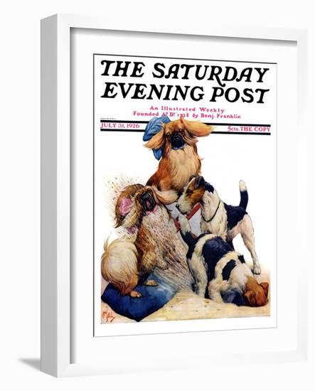 "Digging Doggy," Saturday Evening Post Cover, July 31, 1926-Robert L. Dickey-Framed Giclee Print