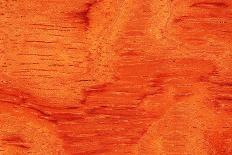 Bubinga Wood Background Texture-Digidesign-Photographic Print