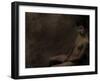 Digijam-Fabio Panichi-Framed Photographic Print