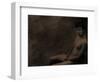 Digijam-Fabio Panichi-Framed Photographic Print