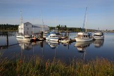 Nicomekl River Marina Morning-digimax-Photographic Print