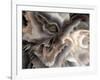 Digital Agate - Natural-null-Framed Art Print