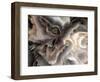 Digital Agate - Natural-null-Framed Premium Giclee Print