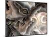 Digital Agate - Natural-null-Mounted Premium Giclee Print