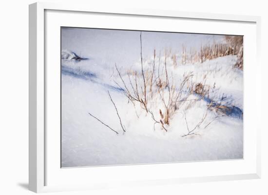 Digital Art Budded Branches In Snow-Anthony Paladino-Framed Giclee Print