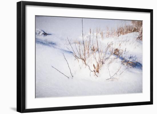 Digital Art Budded Branches In Snow-Anthony Paladino-Framed Giclee Print