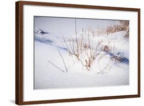 Digital Art Budded Branches In Snow-Anthony Paladino-Framed Giclee Print