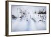 Digital Art Cattails In Winters Snowdrifts-Anthony Paladino-Framed Giclee Print