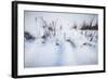 Digital Art Cattails In Winters Snowdrifts-Anthony Paladino-Framed Giclee Print