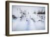 Digital Art Cattails In Winters Snowdrifts-Anthony Paladino-Framed Giclee Print