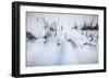 Digital Art Cattails In Winters Snowdrifts-Anthony Paladino-Framed Giclee Print