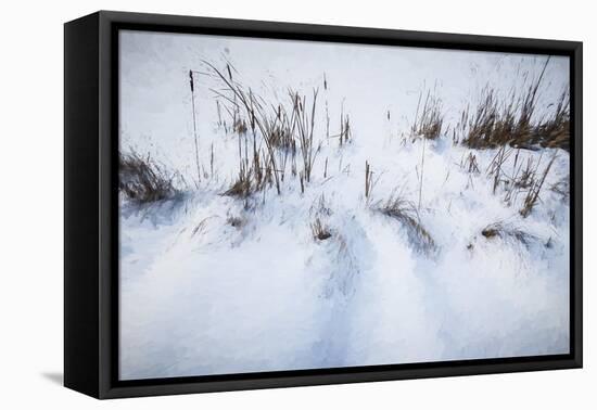 Digital Art Cattails In Winters Snowdrifts-Anthony Paladino-Framed Stretched Canvas