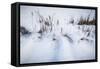 Digital Art Cattails In Winters Snowdrifts-Anthony Paladino-Framed Stretched Canvas