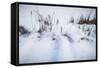 Digital Art Cattails In Winters Snowdrifts-Anthony Paladino-Framed Stretched Canvas