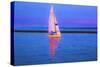 Digital Art Colorful Sailboat At Dusk-Anthony Paladino-Stretched Canvas