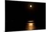 Digital Art Full Moon Over Lake-Anthony Paladino-Mounted Giclee Print