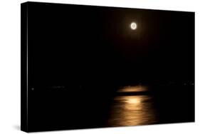 Digital Art Full Moon Over Lake-Anthony Paladino-Stretched Canvas