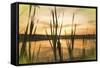 Digital art giant reeds colorful sunset in crayon-Anthony Paladino-Framed Stretched Canvas