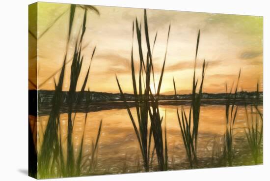 Digital art giant reeds colorful sunset in crayon-Anthony Paladino-Stretched Canvas