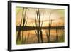 Digital art giant reeds colorful sunset in crayon-Anthony Paladino-Framed Giclee Print